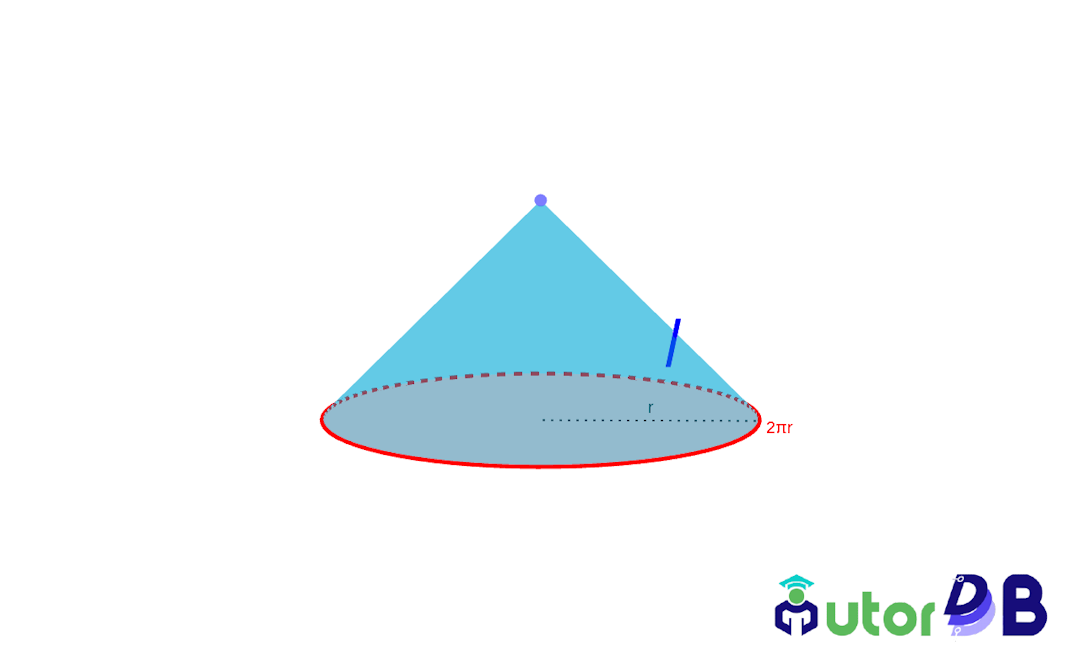 A right circular cone 3D depiction with surfaces colored