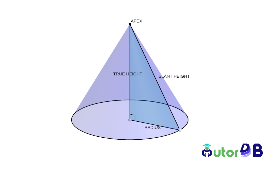 The right circular cone