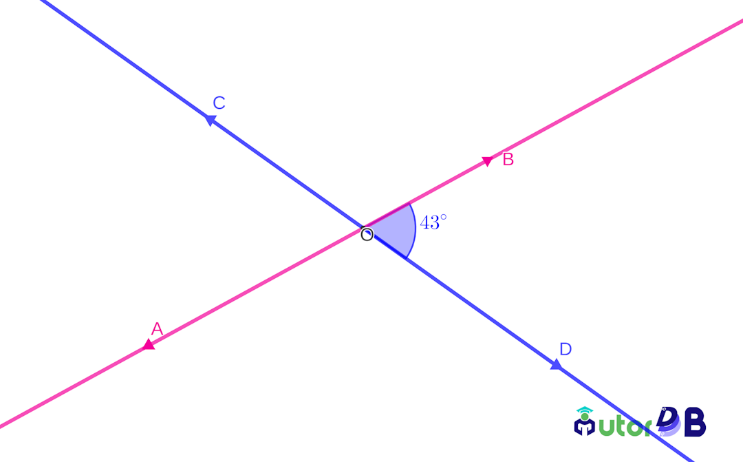 Two intersecting lines with one labelled angle