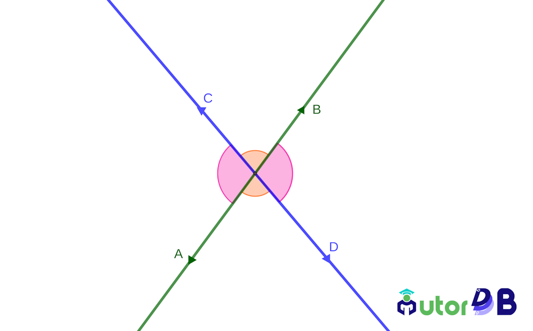 Two intersecting lines with vertical angles marked